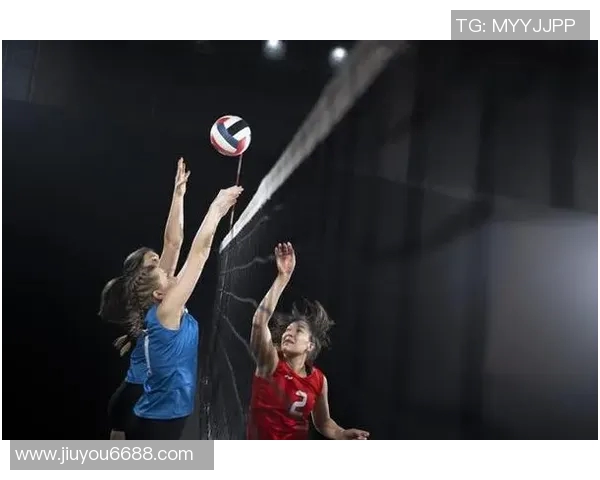 体育实时数据排球新手必看攻略与全面入门指南助你快速掌握技巧与战术